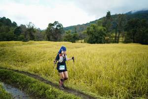 BIB: 
                            <button type="button" onclick="openModal(13387971)" class="btn btn-primary btn-sm float-right btn-popup" data-toggle="modal" data-target=".modal-high-quality">
                        <i class="fas fa-shopping-cart"></i> Add to Cart
                    </button>
                                            <button type="button" onclick="isThisMe(13387971, true)" class="btn btn-success btn-sm float-right btn-popup btn-isme hidden" data-toggle="tooltip" data-placement="bottom" title="นี่คือรูปของคุณใช่ไหม คลิกที่นี่เพื่อเอาเข้าอัลบั้ม">
                        <i class="fas fa-plus"></i> Add to album
                    </button>
                    <button type="button" onclick="isThisMe(13387971, false)" class="btn btn-warning btn-sm float-right btn-popup btn-isnotme hidden">
                        <i class="fas fa-ban"></i> Remove from album
                    </button>