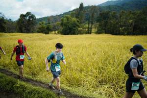 BIB: 1288
                            <button type="button" onclick="openModal(13388416)" class="btn btn-primary btn-sm float-right btn-popup" data-toggle="modal" data-target=".modal-high-quality">
                        <i class="fas fa-shopping-cart"></i> Add to Cart
                    </button>
                                            <button type="button" onclick="isThisMe(13388416, true)" class="btn btn-success btn-sm float-right btn-popup btn-isme hidden" data-toggle="tooltip" data-placement="bottom" title="นี่คือรูปของคุณใช่ไหม คลิกที่นี่เพื่อเอาเข้าอัลบั้ม">
                        <i class="fas fa-plus"></i> Add to album
                    </button>
                    <button type="button" onclick="isThisMe(13388416, false)" class="btn btn-warning btn-sm float-right btn-popup btn-isnotme hidden">
                        <i class="fas fa-ban"></i> Remove from album
                    </button>