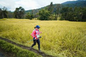 BIB: 
                            <button type="button" onclick="openModal(13388266)" class="btn btn-primary btn-sm float-right btn-popup" data-toggle="modal" data-target=".modal-high-quality">
                        <i class="fas fa-shopping-cart"></i> Add to Cart
                    </button>
                                            <button type="button" onclick="isThisMe(13388266, true)" class="btn btn-success btn-sm float-right btn-popup btn-isme hidden" data-toggle="tooltip" data-placement="bottom" title="นี่คือรูปของคุณใช่ไหม คลิกที่นี่เพื่อเอาเข้าอัลบั้ม">
                        <i class="fas fa-plus"></i> Add to album
                    </button>
                    <button type="button" onclick="isThisMe(13388266, false)" class="btn btn-warning btn-sm float-right btn-popup btn-isnotme hidden">
                        <i class="fas fa-ban"></i> Remove from album
                    </button>