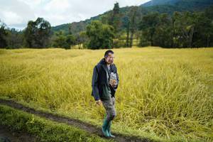 BIB: 
                            <button type="button" onclick="openModal(13388163)" class="btn btn-primary btn-sm float-right btn-popup" data-toggle="modal" data-target=".modal-high-quality">
                        <i class="fas fa-shopping-cart"></i> Add to Cart
                    </button>
                                            <button type="button" onclick="isThisMe(13388163, true)" class="btn btn-success btn-sm float-right btn-popup btn-isme hidden" data-toggle="tooltip" data-placement="bottom" title="นี่คือรูปของคุณใช่ไหม คลิกที่นี่เพื่อเอาเข้าอัลบั้ม">
                        <i class="fas fa-plus"></i> Add to album
                    </button>
                    <button type="button" onclick="isThisMe(13388163, false)" class="btn btn-warning btn-sm float-right btn-popup btn-isnotme hidden">
                        <i class="fas fa-ban"></i> Remove from album
                    </button>