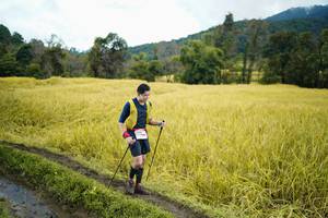 BIB: 
                            <button type="button" onclick="openModal(13388102)" class="btn btn-primary btn-sm float-right btn-popup" data-toggle="modal" data-target=".modal-high-quality">
                        <i class="fas fa-shopping-cart"></i> Add to Cart
                    </button>
                                            <button type="button" onclick="isThisMe(13388102, true)" class="btn btn-success btn-sm float-right btn-popup btn-isme hidden" data-toggle="tooltip" data-placement="bottom" title="นี่คือรูปของคุณใช่ไหม คลิกที่นี่เพื่อเอาเข้าอัลบั้ม">
                        <i class="fas fa-plus"></i> Add to album
                    </button>
                    <button type="button" onclick="isThisMe(13388102, false)" class="btn btn-warning btn-sm float-right btn-popup btn-isnotme hidden">
                        <i class="fas fa-ban"></i> Remove from album
                    </button>