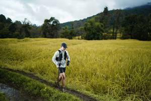 BIB: 
                            <button type="button" onclick="openModal(13387774)" class="btn btn-primary btn-sm float-right btn-popup" data-toggle="modal" data-target=".modal-high-quality">
                        <i class="fas fa-shopping-cart"></i> Add to Cart
                    </button>
                                            <button type="button" onclick="isThisMe(13387774, true)" class="btn btn-success btn-sm float-right btn-popup btn-isme hidden" data-toggle="tooltip" data-placement="bottom" title="นี่คือรูปของคุณใช่ไหม คลิกที่นี่เพื่อเอาเข้าอัลบั้ม">
                        <i class="fas fa-plus"></i> Add to album
                    </button>
                    <button type="button" onclick="isThisMe(13387774, false)" class="btn btn-warning btn-sm float-right btn-popup btn-isnotme hidden">
                        <i class="fas fa-ban"></i> Remove from album
                    </button>