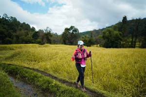 BIB: 
                            <button type="button" onclick="openModal(13388550)" class="btn btn-primary btn-sm float-right btn-popup" data-toggle="modal" data-target=".modal-high-quality">
                        <i class="fas fa-shopping-cart"></i> Add to Cart
                    </button>
                                            <button type="button" onclick="isThisMe(13388550, true)" class="btn btn-success btn-sm float-right btn-popup btn-isme hidden" data-toggle="tooltip" data-placement="bottom" title="นี่คือรูปของคุณใช่ไหม คลิกที่นี่เพื่อเอาเข้าอัลบั้ม">
                        <i class="fas fa-plus"></i> Add to album
                    </button>
                    <button type="button" onclick="isThisMe(13388550, false)" class="btn btn-warning btn-sm float-right btn-popup btn-isnotme hidden">
                        <i class="fas fa-ban"></i> Remove from album
                    </button>