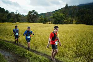 BIB: 
                            <button type="button" onclick="openModal(13387674)" class="btn btn-primary btn-sm float-right btn-popup" data-toggle="modal" data-target=".modal-high-quality">
                        <i class="fas fa-shopping-cart"></i> Add to Cart
                    </button>
                                            <button type="button" onclick="isThisMe(13387674, true)" class="btn btn-success btn-sm float-right btn-popup btn-isme hidden" data-toggle="tooltip" data-placement="bottom" title="นี่คือรูปของคุณใช่ไหม คลิกที่นี่เพื่อเอาเข้าอัลบั้ม">
                        <i class="fas fa-plus"></i> Add to album
                    </button>
                    <button type="button" onclick="isThisMe(13387674, false)" class="btn btn-warning btn-sm float-right btn-popup btn-isnotme hidden">
                        <i class="fas fa-ban"></i> Remove from album
                    </button>