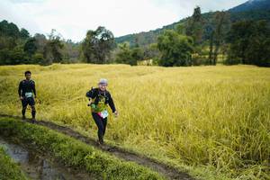 BIB: 
                            <button type="button" onclick="openModal(13388047)" class="btn btn-primary btn-sm float-right btn-popup" data-toggle="modal" data-target=".modal-high-quality">
                        <i class="fas fa-shopping-cart"></i> Add to Cart
                    </button>
                                            <button type="button" onclick="isThisMe(13388047, true)" class="btn btn-success btn-sm float-right btn-popup btn-isme hidden" data-toggle="tooltip" data-placement="bottom" title="นี่คือรูปของคุณใช่ไหม คลิกที่นี่เพื่อเอาเข้าอัลบั้ม">
                        <i class="fas fa-plus"></i> Add to album
                    </button>
                    <button type="button" onclick="isThisMe(13388047, false)" class="btn btn-warning btn-sm float-right btn-popup btn-isnotme hidden">
                        <i class="fas fa-ban"></i> Remove from album
                    </button>