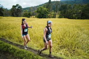 BIB: 
                            <button type="button" onclick="openModal(13388378)" class="btn btn-primary btn-sm float-right btn-popup" data-toggle="modal" data-target=".modal-high-quality">
                        <i class="fas fa-shopping-cart"></i> Add to Cart
                    </button>
                                            <button type="button" onclick="isThisMe(13388378, true)" class="btn btn-success btn-sm float-right btn-popup btn-isme hidden" data-toggle="tooltip" data-placement="bottom" title="นี่คือรูปของคุณใช่ไหม คลิกที่นี่เพื่อเอาเข้าอัลบั้ม">
                        <i class="fas fa-plus"></i> Add to album
                    </button>
                    <button type="button" onclick="isThisMe(13388378, false)" class="btn btn-warning btn-sm float-right btn-popup btn-isnotme hidden">
                        <i class="fas fa-ban"></i> Remove from album
                    </button>