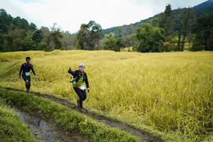 BIB: 
                            <button type="button" onclick="openModal(13388045)" class="btn btn-primary btn-sm float-right btn-popup" data-toggle="modal" data-target=".modal-high-quality">
                        <i class="fas fa-shopping-cart"></i> Add to Cart
                    </button>
                                            <button type="button" onclick="isThisMe(13388045, true)" class="btn btn-success btn-sm float-right btn-popup btn-isme hidden" data-toggle="tooltip" data-placement="bottom" title="นี่คือรูปของคุณใช่ไหม คลิกที่นี่เพื่อเอาเข้าอัลบั้ม">
                        <i class="fas fa-plus"></i> Add to album
                    </button>
                    <button type="button" onclick="isThisMe(13388045, false)" class="btn btn-warning btn-sm float-right btn-popup btn-isnotme hidden">
                        <i class="fas fa-ban"></i> Remove from album
                    </button>