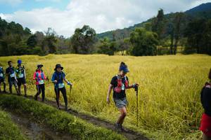 BIB: 
                            <button type="button" onclick="openModal(13388472)" class="btn btn-primary btn-sm float-right btn-popup" data-toggle="modal" data-target=".modal-high-quality">
                        <i class="fas fa-shopping-cart"></i> Add to Cart
                    </button>
                                            <button type="button" onclick="isThisMe(13388472, true)" class="btn btn-success btn-sm float-right btn-popup btn-isme hidden" data-toggle="tooltip" data-placement="bottom" title="นี่คือรูปของคุณใช่ไหม คลิกที่นี่เพื่อเอาเข้าอัลบั้ม">
                        <i class="fas fa-plus"></i> Add to album
                    </button>
                    <button type="button" onclick="isThisMe(13388472, false)" class="btn btn-warning btn-sm float-right btn-popup btn-isnotme hidden">
                        <i class="fas fa-ban"></i> Remove from album
                    </button>