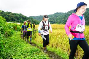 BIB: 8063
                            <button type="button" onclick="openModal(13486133)" class="btn btn-primary btn-sm float-right btn-popup" data-toggle="modal" data-target=".modal-high-quality">
                        <i class="fas fa-shopping-cart"></i> Add to Cart
                    </button>
                                            <button type="button" onclick="isThisMe(13486133, true)" class="btn btn-success btn-sm float-right btn-popup btn-isme hidden" data-toggle="tooltip" data-placement="bottom" title="นี่คือรูปของคุณใช่ไหม คลิกที่นี่เพื่อเอาเข้าอัลบั้ม">
                        <i class="fas fa-plus"></i> Add to album
                    </button>
                    <button type="button" onclick="isThisMe(13486133, false)" class="btn btn-warning btn-sm float-right btn-popup btn-isnotme hidden">
                        <i class="fas fa-ban"></i> Remove from album
                    </button>