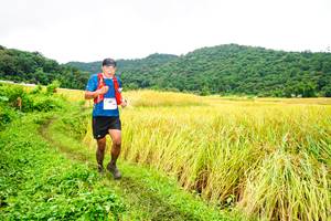 BIB: 
                            <button type="button" onclick="openModal(13485728)" class="btn btn-primary btn-sm float-right btn-popup" data-toggle="modal" data-target=".modal-high-quality">
                        <i class="fas fa-shopping-cart"></i> Add to Cart
                    </button>
                                            <button type="button" onclick="isThisMe(13485728, true)" class="btn btn-success btn-sm float-right btn-popup btn-isme hidden" data-toggle="tooltip" data-placement="bottom" title="นี่คือรูปของคุณใช่ไหม คลิกที่นี่เพื่อเอาเข้าอัลบั้ม">
                        <i class="fas fa-plus"></i> Add to album
                    </button>
                    <button type="button" onclick="isThisMe(13485728, false)" class="btn btn-warning btn-sm float-right btn-popup btn-isnotme hidden">
                        <i class="fas fa-ban"></i> Remove from album
                    </button>