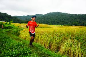 BIB: 
                            <button type="button" onclick="openModal(13485616)" class="btn btn-primary btn-sm float-right btn-popup" data-toggle="modal" data-target=".modal-high-quality">
                        <i class="fas fa-shopping-cart"></i> Add to Cart
                    </button>
                                            <button type="button" onclick="isThisMe(13485616, true)" class="btn btn-success btn-sm float-right btn-popup btn-isme hidden" data-toggle="tooltip" data-placement="bottom" title="นี่คือรูปของคุณใช่ไหม คลิกที่นี่เพื่อเอาเข้าอัลบั้ม">
                        <i class="fas fa-plus"></i> Add to album
                    </button>
                    <button type="button" onclick="isThisMe(13485616, false)" class="btn btn-warning btn-sm float-right btn-popup btn-isnotme hidden">
                        <i class="fas fa-ban"></i> Remove from album
                    </button>