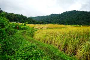 BIB: 
                            <button type="button" onclick="openModal(13485669)" class="btn btn-primary btn-sm float-right btn-popup" data-toggle="modal" data-target=".modal-high-quality">
                        <i class="fas fa-shopping-cart"></i> Add to Cart
                    </button>
                                            <button type="button" onclick="isThisMe(13485669, true)" class="btn btn-success btn-sm float-right btn-popup btn-isme hidden" data-toggle="tooltip" data-placement="bottom" title="นี่คือรูปของคุณใช่ไหม คลิกที่นี่เพื่อเอาเข้าอัลบั้ม">
                        <i class="fas fa-plus"></i> Add to album
                    </button>
                    <button type="button" onclick="isThisMe(13485669, false)" class="btn btn-warning btn-sm float-right btn-popup btn-isnotme hidden">
                        <i class="fas fa-ban"></i> Remove from album
                    </button>