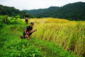 BIB: 
                            <button type="button" onclick="openModal(13485677)" class="btn btn-primary btn-sm float-right btn-popup" data-toggle="modal" data-target=".modal-high-quality">
                        <i class="fas fa-shopping-cart"></i> Add to Cart
                    </button>
                                            <button type="button" onclick="isThisMe(13485677, true)" class="btn btn-success btn-sm float-right btn-popup btn-isme hidden" data-toggle="tooltip" data-placement="bottom" title="นี่คือรูปของคุณใช่ไหม คลิกที่นี่เพื่อเอาเข้าอัลบั้ม">
                        <i class="fas fa-plus"></i> Add to album
                    </button>
                    <button type="button" onclick="isThisMe(13485677, false)" class="btn btn-warning btn-sm float-right btn-popup btn-isnotme hidden">
                        <i class="fas fa-ban"></i> Remove from album
                    </button>