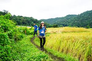 BIB: 
                            <button type="button" onclick="openModal(13486092)" class="btn btn-primary btn-sm float-right btn-popup" data-toggle="modal" data-target=".modal-high-quality">
                        <i class="fas fa-shopping-cart"></i> Add to Cart
                    </button>
                                            <button type="button" onclick="isThisMe(13486092, true)" class="btn btn-success btn-sm float-right btn-popup btn-isme hidden" data-toggle="tooltip" data-placement="bottom" title="นี่คือรูปของคุณใช่ไหม คลิกที่นี่เพื่อเอาเข้าอัลบั้ม">
                        <i class="fas fa-plus"></i> Add to album
                    </button>
                    <button type="button" onclick="isThisMe(13486092, false)" class="btn btn-warning btn-sm float-right btn-popup btn-isnotme hidden">
                        <i class="fas fa-ban"></i> Remove from album
                    </button>