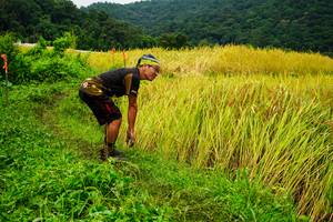 BIB: 
                            <button type="button" onclick="openModal(13485681)" class="btn btn-primary btn-sm float-right btn-popup" data-toggle="modal" data-target=".modal-high-quality">
                        <i class="fas fa-shopping-cart"></i> Add to Cart
                    </button>
                                            <button type="button" onclick="isThisMe(13485681, true)" class="btn btn-success btn-sm float-right btn-popup btn-isme hidden" data-toggle="tooltip" data-placement="bottom" title="นี่คือรูปของคุณใช่ไหม คลิกที่นี่เพื่อเอาเข้าอัลบั้ม">
                        <i class="fas fa-plus"></i> Add to album
                    </button>
                    <button type="button" onclick="isThisMe(13485681, false)" class="btn btn-warning btn-sm float-right btn-popup btn-isnotme hidden">
                        <i class="fas fa-ban"></i> Remove from album
                    </button>