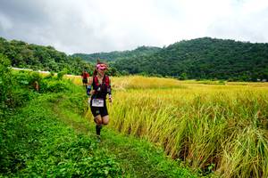 BIB: 
                            <button type="button" onclick="openModal(13485656)" class="btn btn-primary btn-sm float-right btn-popup" data-toggle="modal" data-target=".modal-high-quality">
                        <i class="fas fa-shopping-cart"></i> Add to Cart
                    </button>
                                            <button type="button" onclick="isThisMe(13485656, true)" class="btn btn-success btn-sm float-right btn-popup btn-isme hidden" data-toggle="tooltip" data-placement="bottom" title="นี่คือรูปของคุณใช่ไหม คลิกที่นี่เพื่อเอาเข้าอัลบั้ม">
                        <i class="fas fa-plus"></i> Add to album
                    </button>
                    <button type="button" onclick="isThisMe(13485656, false)" class="btn btn-warning btn-sm float-right btn-popup btn-isnotme hidden">
                        <i class="fas fa-ban"></i> Remove from album
                    </button>