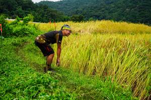 BIB: 
                            <button type="button" onclick="openModal(13485682)" class="btn btn-primary btn-sm float-right btn-popup" data-toggle="modal" data-target=".modal-high-quality">
                        <i class="fas fa-shopping-cart"></i> Add to Cart
                    </button>
                                            <button type="button" onclick="isThisMe(13485682, true)" class="btn btn-success btn-sm float-right btn-popup btn-isme hidden" data-toggle="tooltip" data-placement="bottom" title="นี่คือรูปของคุณใช่ไหม คลิกที่นี่เพื่อเอาเข้าอัลบั้ม">
                        <i class="fas fa-plus"></i> Add to album
                    </button>
                    <button type="button" onclick="isThisMe(13485682, false)" class="btn btn-warning btn-sm float-right btn-popup btn-isnotme hidden">
                        <i class="fas fa-ban"></i> Remove from album
                    </button>