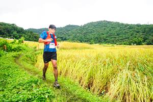 BIB: 
                            <button type="button" onclick="openModal(13485729)" class="btn btn-primary btn-sm float-right btn-popup" data-toggle="modal" data-target=".modal-high-quality">
                        <i class="fas fa-shopping-cart"></i> Add to Cart
                    </button>
                                            <button type="button" onclick="isThisMe(13485729, true)" class="btn btn-success btn-sm float-right btn-popup btn-isme hidden" data-toggle="tooltip" data-placement="bottom" title="นี่คือรูปของคุณใช่ไหม คลิกที่นี่เพื่อเอาเข้าอัลบั้ม">
                        <i class="fas fa-plus"></i> Add to album
                    </button>
                    <button type="button" onclick="isThisMe(13485729, false)" class="btn btn-warning btn-sm float-right btn-popup btn-isnotme hidden">
                        <i class="fas fa-ban"></i> Remove from album
                    </button>