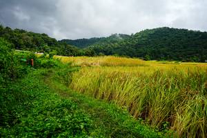 BIB: 
                            <button type="button" onclick="openModal(13485654)" class="btn btn-primary btn-sm float-right btn-popup" data-toggle="modal" data-target=".modal-high-quality">
                        <i class="fas fa-shopping-cart"></i> Add to Cart
                    </button>
                                            <button type="button" onclick="isThisMe(13485654, true)" class="btn btn-success btn-sm float-right btn-popup btn-isme hidden" data-toggle="tooltip" data-placement="bottom" title="นี่คือรูปของคุณใช่ไหม คลิกที่นี่เพื่อเอาเข้าอัลบั้ม">
                        <i class="fas fa-plus"></i> Add to album
                    </button>
                    <button type="button" onclick="isThisMe(13485654, false)" class="btn btn-warning btn-sm float-right btn-popup btn-isnotme hidden">
                        <i class="fas fa-ban"></i> Remove from album
                    </button>