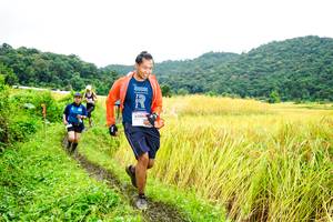 BIB: 
                            <button type="button" onclick="openModal(13486204)" class="btn btn-primary btn-sm float-right btn-popup" data-toggle="modal" data-target=".modal-high-quality">
                        <i class="fas fa-shopping-cart"></i> Add to Cart
                    </button>
                                            <button type="button" onclick="isThisMe(13486204, true)" class="btn btn-success btn-sm float-right btn-popup btn-isme hidden" data-toggle="tooltip" data-placement="bottom" title="นี่คือรูปของคุณใช่ไหม คลิกที่นี่เพื่อเอาเข้าอัลบั้ม">
                        <i class="fas fa-plus"></i> Add to album
                    </button>
                    <button type="button" onclick="isThisMe(13486204, false)" class="btn btn-warning btn-sm float-right btn-popup btn-isnotme hidden">
                        <i class="fas fa-ban"></i> Remove from album
                    </button>