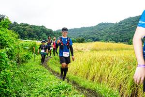 BIB: 
                            <button type="button" onclick="openModal(13486144)" class="btn btn-primary btn-sm float-right btn-popup" data-toggle="modal" data-target=".modal-high-quality">
                        <i class="fas fa-shopping-cart"></i> Add to Cart
                    </button>
                                            <button type="button" onclick="isThisMe(13486144, true)" class="btn btn-success btn-sm float-right btn-popup btn-isme hidden" data-toggle="tooltip" data-placement="bottom" title="นี่คือรูปของคุณใช่ไหม คลิกที่นี่เพื่อเอาเข้าอัลบั้ม">
                        <i class="fas fa-plus"></i> Add to album
                    </button>
                    <button type="button" onclick="isThisMe(13486144, false)" class="btn btn-warning btn-sm float-right btn-popup btn-isnotme hidden">
                        <i class="fas fa-ban"></i> Remove from album
                    </button>