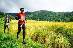 BIB: 8232
                            <button type="button" onclick="openModal(13485640)" class="btn btn-primary btn-sm float-right btn-popup" data-toggle="modal" data-target=".modal-high-quality">
                        <i class="fas fa-shopping-cart"></i> Add to Cart
                    </button>
                                            <button type="button" onclick="isThisMe(13485640, true)" class="btn btn-success btn-sm float-right btn-popup btn-isme hidden" data-toggle="tooltip" data-placement="bottom" title="นี่คือรูปของคุณใช่ไหม คลิกที่นี่เพื่อเอาเข้าอัลบั้ม">
                        <i class="fas fa-plus"></i> Add to album
                    </button>
                    <button type="button" onclick="isThisMe(13485640, false)" class="btn btn-warning btn-sm float-right btn-popup btn-isnotme hidden">
                        <i class="fas fa-ban"></i> Remove from album
                    </button>