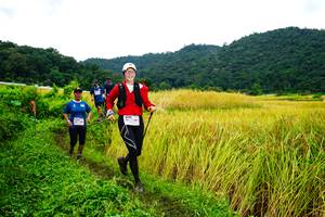 BIB: 
                            <button type="button" onclick="openModal(13485789)" class="btn btn-primary btn-sm float-right btn-popup" data-toggle="modal" data-target=".modal-high-quality">
                        <i class="fas fa-shopping-cart"></i> Add to Cart
                    </button>
                                            <button type="button" onclick="isThisMe(13485789, true)" class="btn btn-success btn-sm float-right btn-popup btn-isme hidden" data-toggle="tooltip" data-placement="bottom" title="นี่คือรูปของคุณใช่ไหม คลิกที่นี่เพื่อเอาเข้าอัลบั้ม">
                        <i class="fas fa-plus"></i> Add to album
                    </button>
                    <button type="button" onclick="isThisMe(13485789, false)" class="btn btn-warning btn-sm float-right btn-popup btn-isnotme hidden">
                        <i class="fas fa-ban"></i> Remove from album
                    </button>