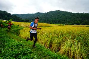 BIB: 
                            <button type="button" onclick="openModal(13485579)" class="btn btn-primary btn-sm float-right btn-popup" data-toggle="modal" data-target=".modal-high-quality">
                        <i class="fas fa-shopping-cart"></i> Add to Cart
                    </button>
                                            <button type="button" onclick="isThisMe(13485579, true)" class="btn btn-success btn-sm float-right btn-popup btn-isme hidden" data-toggle="tooltip" data-placement="bottom" title="นี่คือรูปของคุณใช่ไหม คลิกที่นี่เพื่อเอาเข้าอัลบั้ม">
                        <i class="fas fa-plus"></i> Add to album
                    </button>
                    <button type="button" onclick="isThisMe(13485579, false)" class="btn btn-warning btn-sm float-right btn-popup btn-isnotme hidden">
                        <i class="fas fa-ban"></i> Remove from album
                    </button>