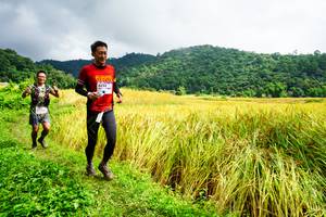 BIB: 8232
                            <button type="button" onclick="openModal(13485638)" class="btn btn-primary btn-sm float-right btn-popup" data-toggle="modal" data-target=".modal-high-quality">
                        <i class="fas fa-shopping-cart"></i> Add to Cart
                    </button>
                                            <button type="button" onclick="isThisMe(13485638, true)" class="btn btn-success btn-sm float-right btn-popup btn-isme hidden" data-toggle="tooltip" data-placement="bottom" title="นี่คือรูปของคุณใช่ไหม คลิกที่นี่เพื่อเอาเข้าอัลบั้ม">
                        <i class="fas fa-plus"></i> Add to album
                    </button>
                    <button type="button" onclick="isThisMe(13485638, false)" class="btn btn-warning btn-sm float-right btn-popup btn-isnotme hidden">
                        <i class="fas fa-ban"></i> Remove from album
                    </button>