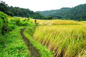 BIB: 
                            <button type="button" onclick="openModal(13486037)" class="btn btn-primary btn-sm float-right btn-popup" data-toggle="modal" data-target=".modal-high-quality">
                        <i class="fas fa-shopping-cart"></i> Add to Cart
                    </button>
                                            <button type="button" onclick="isThisMe(13486037, true)" class="btn btn-success btn-sm float-right btn-popup btn-isme hidden" data-toggle="tooltip" data-placement="bottom" title="นี่คือรูปของคุณใช่ไหม คลิกที่นี่เพื่อเอาเข้าอัลบั้ม">
                        <i class="fas fa-plus"></i> Add to album
                    </button>
                    <button type="button" onclick="isThisMe(13486037, false)" class="btn btn-warning btn-sm float-right btn-popup btn-isnotme hidden">
                        <i class="fas fa-ban"></i> Remove from album
                    </button>