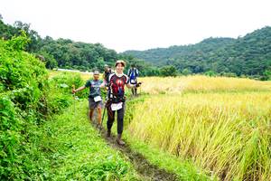 BIB: 
                            <button type="button" onclick="openModal(13486217)" class="btn btn-primary btn-sm float-right btn-popup" data-toggle="modal" data-target=".modal-high-quality">
                        <i class="fas fa-shopping-cart"></i> Add to Cart
                    </button>
                                            <button type="button" onclick="isThisMe(13486217, true)" class="btn btn-success btn-sm float-right btn-popup btn-isme hidden" data-toggle="tooltip" data-placement="bottom" title="นี่คือรูปของคุณใช่ไหม คลิกที่นี่เพื่อเอาเข้าอัลบั้ม">
                        <i class="fas fa-plus"></i> Add to album
                    </button>
                    <button type="button" onclick="isThisMe(13486217, false)" class="btn btn-warning btn-sm float-right btn-popup btn-isnotme hidden">
                        <i class="fas fa-ban"></i> Remove from album
                    </button>