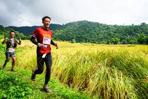 BIB: 8232
                            <button type="button" onclick="openModal(13485639)" class="btn btn-primary btn-sm float-right btn-popup" data-toggle="modal" data-target=".modal-high-quality">
                        <i class="fas fa-shopping-cart"></i> Add to Cart
                    </button>
                                            <button type="button" onclick="isThisMe(13485639, true)" class="btn btn-success btn-sm float-right btn-popup btn-isme hidden" data-toggle="tooltip" data-placement="bottom" title="นี่คือรูปของคุณใช่ไหม คลิกที่นี่เพื่อเอาเข้าอัลบั้ม">
                        <i class="fas fa-plus"></i> Add to album
                    </button>
                    <button type="button" onclick="isThisMe(13485639, false)" class="btn btn-warning btn-sm float-right btn-popup btn-isnotme hidden">
                        <i class="fas fa-ban"></i> Remove from album
                    </button>