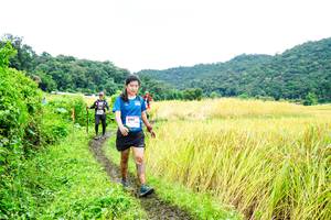 BIB: 
                            <button type="button" onclick="openModal(13486270)" class="btn btn-primary btn-sm float-right btn-popup" data-toggle="modal" data-target=".modal-high-quality">
                        <i class="fas fa-shopping-cart"></i> Add to Cart
                    </button>
                                            <button type="button" onclick="isThisMe(13486270, true)" class="btn btn-success btn-sm float-right btn-popup btn-isme hidden" data-toggle="tooltip" data-placement="bottom" title="นี่คือรูปของคุณใช่ไหม คลิกที่นี่เพื่อเอาเข้าอัลบั้ม">
                        <i class="fas fa-plus"></i> Add to album
                    </button>
                    <button type="button" onclick="isThisMe(13486270, false)" class="btn btn-warning btn-sm float-right btn-popup btn-isnotme hidden">
                        <i class="fas fa-ban"></i> Remove from album
                    </button>