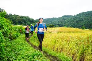 BIB: 
                            <button type="button" onclick="openModal(13486076)" class="btn btn-primary btn-sm float-right btn-popup" data-toggle="modal" data-target=".modal-high-quality">
                        <i class="fas fa-shopping-cart"></i> Add to Cart
                    </button>
                                            <button type="button" onclick="isThisMe(13486076, true)" class="btn btn-success btn-sm float-right btn-popup btn-isme hidden" data-toggle="tooltip" data-placement="bottom" title="นี่คือรูปของคุณใช่ไหม คลิกที่นี่เพื่อเอาเข้าอัลบั้ม">
                        <i class="fas fa-plus"></i> Add to album
                    </button>
                    <button type="button" onclick="isThisMe(13486076, false)" class="btn btn-warning btn-sm float-right btn-popup btn-isnotme hidden">
                        <i class="fas fa-ban"></i> Remove from album
                    </button>