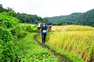 BIB: 
                            <button type="button" onclick="openModal(13486110)" class="btn btn-primary btn-sm float-right btn-popup" data-toggle="modal" data-target=".modal-high-quality">
                        <i class="fas fa-shopping-cart"></i> Add to Cart
                    </button>
                                            <button type="button" onclick="isThisMe(13486110, true)" class="btn btn-success btn-sm float-right btn-popup btn-isme hidden" data-toggle="tooltip" data-placement="bottom" title="นี่คือรูปของคุณใช่ไหม คลิกที่นี่เพื่อเอาเข้าอัลบั้ม">
                        <i class="fas fa-plus"></i> Add to album
                    </button>
                    <button type="button" onclick="isThisMe(13486110, false)" class="btn btn-warning btn-sm float-right btn-popup btn-isnotme hidden">
                        <i class="fas fa-ban"></i> Remove from album
                    </button>