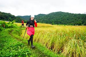 BIB: 
                            <button type="button" onclick="openModal(13485712)" class="btn btn-primary btn-sm float-right btn-popup" data-toggle="modal" data-target=".modal-high-quality">
                        <i class="fas fa-shopping-cart"></i> Add to Cart
                    </button>
                                            <button type="button" onclick="isThisMe(13485712, true)" class="btn btn-success btn-sm float-right btn-popup btn-isme hidden" data-toggle="tooltip" data-placement="bottom" title="นี่คือรูปของคุณใช่ไหม คลิกที่นี่เพื่อเอาเข้าอัลบั้ม">
                        <i class="fas fa-plus"></i> Add to album
                    </button>
                    <button type="button" onclick="isThisMe(13485712, false)" class="btn btn-warning btn-sm float-right btn-popup btn-isnotme hidden">
                        <i class="fas fa-ban"></i> Remove from album
                    </button>