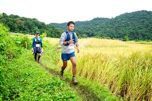 BIB: 8140
                            <button type="button" onclick="openModal(13485909)" class="btn btn-primary btn-sm float-right btn-popup" data-toggle="modal" data-target=".modal-high-quality">
                        <i class="fas fa-shopping-cart"></i> Add to Cart
                    </button>
                                            <button type="button" onclick="isThisMe(13485909, true)" class="btn btn-success btn-sm float-right btn-popup btn-isme hidden" data-toggle="tooltip" data-placement="bottom" title="นี่คือรูปของคุณใช่ไหม คลิกที่นี่เพื่อเอาเข้าอัลบั้ม">
                        <i class="fas fa-plus"></i> Add to album
                    </button>
                    <button type="button" onclick="isThisMe(13485909, false)" class="btn btn-warning btn-sm float-right btn-popup btn-isnotme hidden">
                        <i class="fas fa-ban"></i> Remove from album
                    </button>