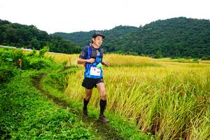 BIB: 
                            <button type="button" onclick="openModal(13485828)" class="btn btn-primary btn-sm float-right btn-popup" data-toggle="modal" data-target=".modal-high-quality">
                        <i class="fas fa-shopping-cart"></i> Add to Cart
                    </button>
                                            <button type="button" onclick="isThisMe(13485828, true)" class="btn btn-success btn-sm float-right btn-popup btn-isme hidden" data-toggle="tooltip" data-placement="bottom" title="นี่คือรูปของคุณใช่ไหม คลิกที่นี่เพื่อเอาเข้าอัลบั้ม">
                        <i class="fas fa-plus"></i> Add to album
                    </button>
                    <button type="button" onclick="isThisMe(13485828, false)" class="btn btn-warning btn-sm float-right btn-popup btn-isnotme hidden">
                        <i class="fas fa-ban"></i> Remove from album
                    </button>