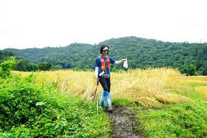 BIB: 
                            <button type="button" onclick="openModal(13486160)" class="btn btn-primary btn-sm float-right btn-popup" data-toggle="modal" data-target=".modal-high-quality">
                        <i class="fas fa-shopping-cart"></i> Add to Cart
                    </button>
                                            <button type="button" onclick="isThisMe(13486160, true)" class="btn btn-success btn-sm float-right btn-popup btn-isme hidden" data-toggle="tooltip" data-placement="bottom" title="นี่คือรูปของคุณใช่ไหม คลิกที่นี่เพื่อเอาเข้าอัลบั้ม">
                        <i class="fas fa-plus"></i> Add to album
                    </button>
                    <button type="button" onclick="isThisMe(13486160, false)" class="btn btn-warning btn-sm float-right btn-popup btn-isnotme hidden">
                        <i class="fas fa-ban"></i> Remove from album
                    </button>