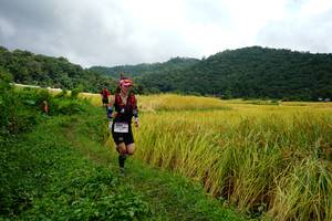 BIB: 
                            <button type="button" onclick="openModal(13371487)" class="btn btn-primary btn-sm float-right btn-popup" data-toggle="modal" data-target=".modal-high-quality">
                        <i class="fas fa-shopping-cart"></i> Add to Cart
                    </button>
                                            <button type="button" onclick="isThisMe(13371487, true)" class="btn btn-success btn-sm float-right btn-popup btn-isme hidden" data-toggle="tooltip" data-placement="bottom" title="นี่คือรูปของคุณใช่ไหม คลิกที่นี่เพื่อเอาเข้าอัลบั้ม">
                        <i class="fas fa-plus"></i> Add to album
                    </button>
                    <button type="button" onclick="isThisMe(13371487, false)" class="btn btn-warning btn-sm float-right btn-popup btn-isnotme hidden">
                        <i class="fas fa-ban"></i> Remove from album
                    </button>