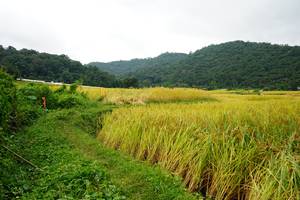 BIB: 
                            <button type="button" onclick="openModal(13371408)" class="btn btn-primary btn-sm float-right btn-popup" data-toggle="modal" data-target=".modal-high-quality">
                        <i class="fas fa-shopping-cart"></i> Add to Cart
                    </button>
                                            <button type="button" onclick="isThisMe(13371408, true)" class="btn btn-success btn-sm float-right btn-popup btn-isme hidden" data-toggle="tooltip" data-placement="bottom" title="นี่คือรูปของคุณใช่ไหม คลิกที่นี่เพื่อเอาเข้าอัลบั้ม">
                        <i class="fas fa-plus"></i> Add to album
                    </button>
                    <button type="button" onclick="isThisMe(13371408, false)" class="btn btn-warning btn-sm float-right btn-popup btn-isnotme hidden">
                        <i class="fas fa-ban"></i> Remove from album
                    </button>