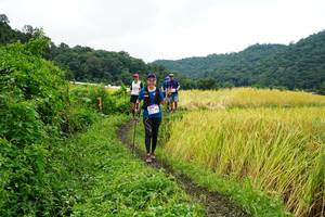 BIB: 
                            <button type="button" onclick="openModal(13371929)" class="btn btn-primary btn-sm float-right btn-popup" data-toggle="modal" data-target=".modal-high-quality">
                        <i class="fas fa-shopping-cart"></i> Add to Cart
                    </button>
                                            <button type="button" onclick="isThisMe(13371929, true)" class="btn btn-success btn-sm float-right btn-popup btn-isme hidden" data-toggle="tooltip" data-placement="bottom" title="นี่คือรูปของคุณใช่ไหม คลิกที่นี่เพื่อเอาเข้าอัลบั้ม">
                        <i class="fas fa-plus"></i> Add to album
                    </button>
                    <button type="button" onclick="isThisMe(13371929, false)" class="btn btn-warning btn-sm float-right btn-popup btn-isnotme hidden">
                        <i class="fas fa-ban"></i> Remove from album
                    </button>