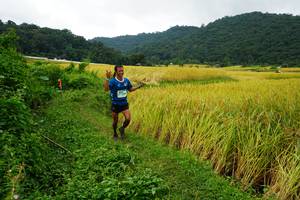 BIB: 
                            <button type="button" onclick="openModal(13371409)" class="btn btn-primary btn-sm float-right btn-popup" data-toggle="modal" data-target=".modal-high-quality">
                        <i class="fas fa-shopping-cart"></i> Add to Cart
                    </button>
                                            <button type="button" onclick="isThisMe(13371409, true)" class="btn btn-success btn-sm float-right btn-popup btn-isme hidden" data-toggle="tooltip" data-placement="bottom" title="นี่คือรูปของคุณใช่ไหม คลิกที่นี่เพื่อเอาเข้าอัลบั้ม">
                        <i class="fas fa-plus"></i> Add to album
                    </button>
                    <button type="button" onclick="isThisMe(13371409, false)" class="btn btn-warning btn-sm float-right btn-popup btn-isnotme hidden">
                        <i class="fas fa-ban"></i> Remove from album
                    </button>