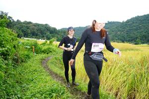 BIB: 8117
                            <button type="button" onclick="openModal(13372048)" class="btn btn-primary btn-sm float-right btn-popup" data-toggle="modal" data-target=".modal-high-quality">
                        <i class="fas fa-shopping-cart"></i> Add to Cart
                    </button>
                                            <button type="button" onclick="isThisMe(13372048, true)" class="btn btn-success btn-sm float-right btn-popup btn-isme hidden" data-toggle="tooltip" data-placement="bottom" title="นี่คือรูปของคุณใช่ไหม คลิกที่นี่เพื่อเอาเข้าอัลบั้ม">
                        <i class="fas fa-plus"></i> Add to album
                    </button>
                    <button type="button" onclick="isThisMe(13372048, false)" class="btn btn-warning btn-sm float-right btn-popup btn-isnotme hidden">
                        <i class="fas fa-ban"></i> Remove from album
                    </button>