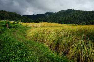 BIB: 
                            <button type="button" onclick="openModal(13371472)" class="btn btn-primary btn-sm float-right btn-popup" data-toggle="modal" data-target=".modal-high-quality">
                        <i class="fas fa-shopping-cart"></i> Add to Cart
                    </button>
                                            <button type="button" onclick="isThisMe(13371472, true)" class="btn btn-success btn-sm float-right btn-popup btn-isme hidden" data-toggle="tooltip" data-placement="bottom" title="นี่คือรูปของคุณใช่ไหม คลิกที่นี่เพื่อเอาเข้าอัลบั้ม">
                        <i class="fas fa-plus"></i> Add to album
                    </button>
                    <button type="button" onclick="isThisMe(13371472, false)" class="btn btn-warning btn-sm float-right btn-popup btn-isnotme hidden">
                        <i class="fas fa-ban"></i> Remove from album
                    </button>