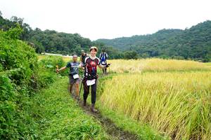 BIB: 
                            <button type="button" onclick="openModal(13372038)" class="btn btn-primary btn-sm float-right btn-popup" data-toggle="modal" data-target=".modal-high-quality">
                        <i class="fas fa-shopping-cart"></i> Add to Cart
                    </button>
                                            <button type="button" onclick="isThisMe(13372038, true)" class="btn btn-success btn-sm float-right btn-popup btn-isme hidden" data-toggle="tooltip" data-placement="bottom" title="นี่คือรูปของคุณใช่ไหม คลิกที่นี่เพื่อเอาเข้าอัลบั้ม">
                        <i class="fas fa-plus"></i> Add to album
                    </button>
                    <button type="button" onclick="isThisMe(13372038, false)" class="btn btn-warning btn-sm float-right btn-popup btn-isnotme hidden">
                        <i class="fas fa-ban"></i> Remove from album
                    </button>