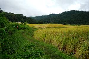 BIB: 
                            <button type="button" onclick="openModal(13371500)" class="btn btn-primary btn-sm float-right btn-popup" data-toggle="modal" data-target=".modal-high-quality">
                        <i class="fas fa-shopping-cart"></i> Add to Cart
                    </button>
                                            <button type="button" onclick="isThisMe(13371500, true)" class="btn btn-success btn-sm float-right btn-popup btn-isme hidden" data-toggle="tooltip" data-placement="bottom" title="นี่คือรูปของคุณใช่ไหม คลิกที่นี่เพื่อเอาเข้าอัลบั้ม">
                        <i class="fas fa-plus"></i> Add to album
                    </button>
                    <button type="button" onclick="isThisMe(13371500, false)" class="btn btn-warning btn-sm float-right btn-popup btn-isnotme hidden">
                        <i class="fas fa-ban"></i> Remove from album
                    </button>