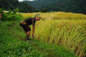 BIB: 
                            <button type="button" onclick="openModal(13371511)" class="btn btn-primary btn-sm float-right btn-popup" data-toggle="modal" data-target=".modal-high-quality">
                        <i class="fas fa-shopping-cart"></i> Add to Cart
                    </button>
                                            <button type="button" onclick="isThisMe(13371511, true)" class="btn btn-success btn-sm float-right btn-popup btn-isme hidden" data-toggle="tooltip" data-placement="bottom" title="นี่คือรูปของคุณใช่ไหม คลิกที่นี่เพื่อเอาเข้าอัลบั้ม">
                        <i class="fas fa-plus"></i> Add to album
                    </button>
                    <button type="button" onclick="isThisMe(13371511, false)" class="btn btn-warning btn-sm float-right btn-popup btn-isnotme hidden">
                        <i class="fas fa-ban"></i> Remove from album
                    </button>