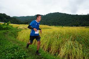 BIB: 
                            <button type="button" onclick="openModal(13371504)" class="btn btn-primary btn-sm float-right btn-popup" data-toggle="modal" data-target=".modal-high-quality">
                        <i class="fas fa-shopping-cart"></i> Add to Cart
                    </button>
                                            <button type="button" onclick="isThisMe(13371504, true)" class="btn btn-success btn-sm float-right btn-popup btn-isme hidden" data-toggle="tooltip" data-placement="bottom" title="นี่คือรูปของคุณใช่ไหม คลิกที่นี่เพื่อเอาเข้าอัลบั้ม">
                        <i class="fas fa-plus"></i> Add to album
                    </button>
                    <button type="button" onclick="isThisMe(13371504, false)" class="btn btn-warning btn-sm float-right btn-popup btn-isnotme hidden">
                        <i class="fas fa-ban"></i> Remove from album
                    </button>