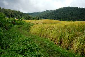 BIB: 
                            <button type="button" onclick="openModal(13371489)" class="btn btn-primary btn-sm float-right btn-popup" data-toggle="modal" data-target=".modal-high-quality">
                        <i class="fas fa-shopping-cart"></i> Add to Cart
                    </button>
                                            <button type="button" onclick="isThisMe(13371489, true)" class="btn btn-success btn-sm float-right btn-popup btn-isme hidden" data-toggle="tooltip" data-placement="bottom" title="นี่คือรูปของคุณใช่ไหม คลิกที่นี่เพื่อเอาเข้าอัลบั้ม">
                        <i class="fas fa-plus"></i> Add to album
                    </button>
                    <button type="button" onclick="isThisMe(13371489, false)" class="btn btn-warning btn-sm float-right btn-popup btn-isnotme hidden">
                        <i class="fas fa-ban"></i> Remove from album
                    </button>